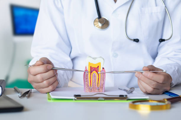 Best Weekend Emergency Dentist in Hamshire, TX